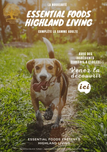 Visuel Highland Living