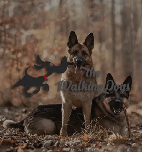 The Walking Dogs